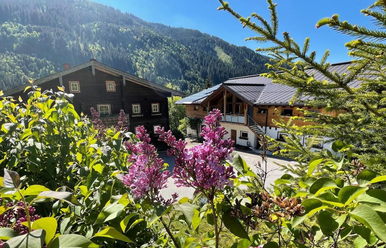 Arlerhof Apartment อุนเทอร์เทาเอิร์น ภายนอก รูปภาพ