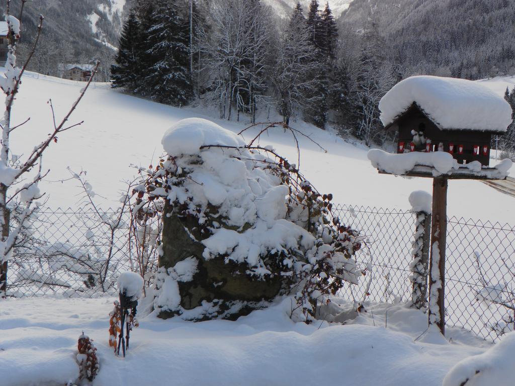 Arlerhof Apartment อุนเทอร์เทาเอิร์น ภายนอก รูปภาพ